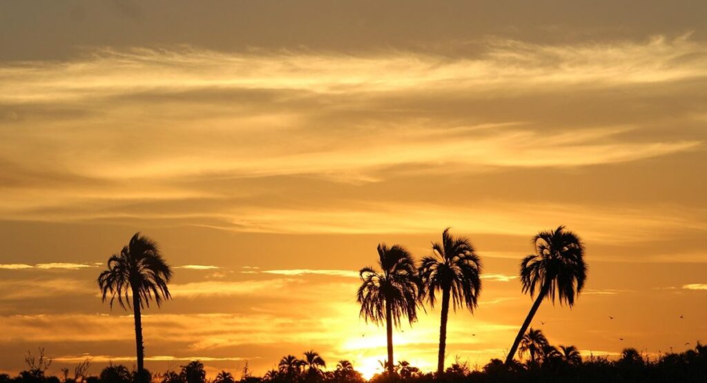 Gaea Blessing: The Divine Interaction between the Earth and man