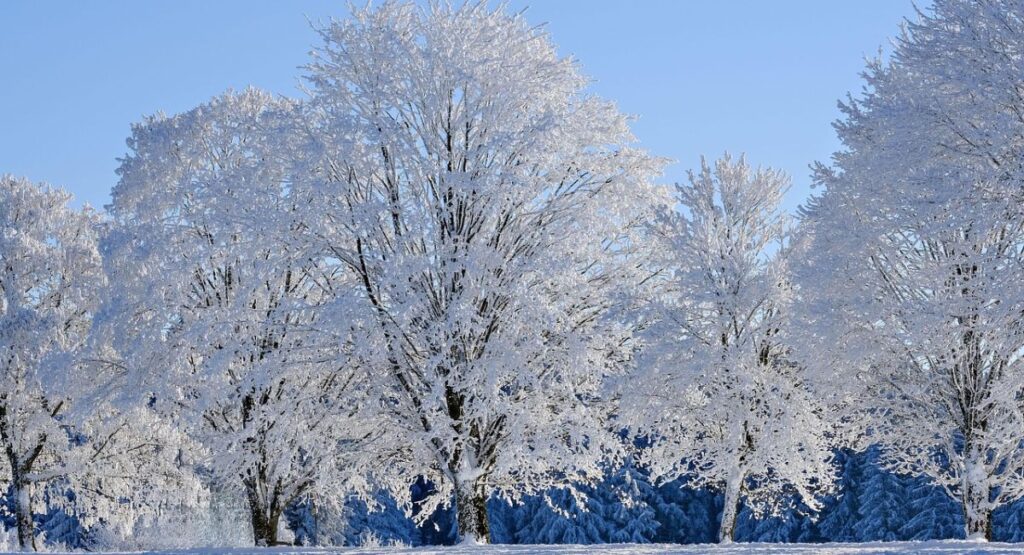 One of the Sacred Traditions of Religions is House Blessing