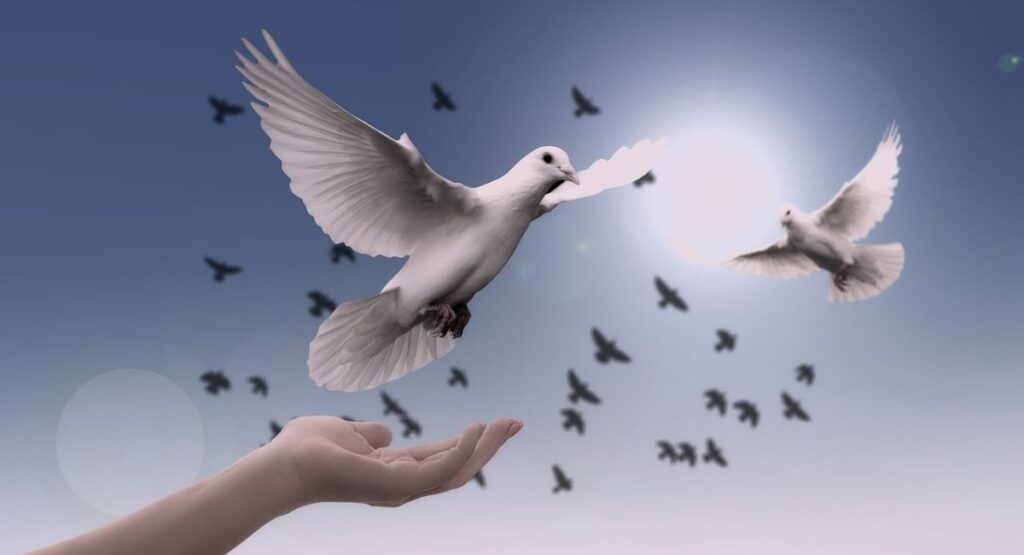 Acceptance Prayer: Power, Peace and Faith in Letting Go