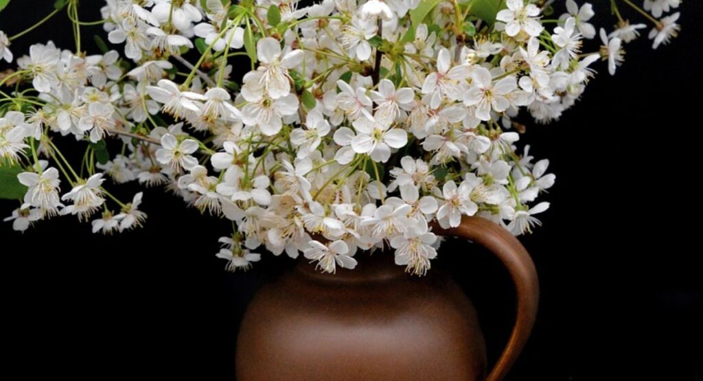 True to Life Emotional Quotes of Real Life