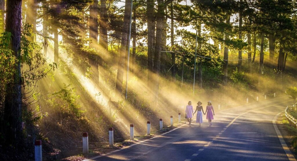 Best Good Morning Messages to Friends, Families, and Love