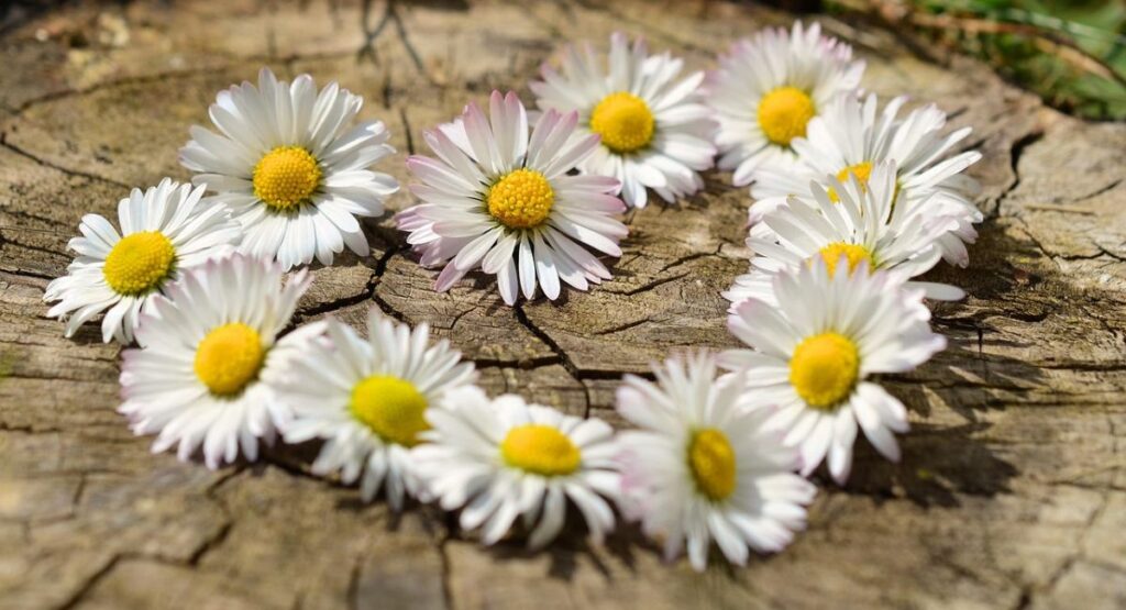 Touching Love Messages for Her