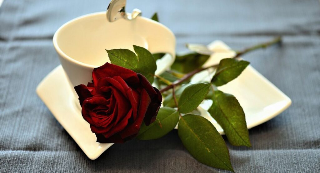 Good Morning Quotes for her: make every day special