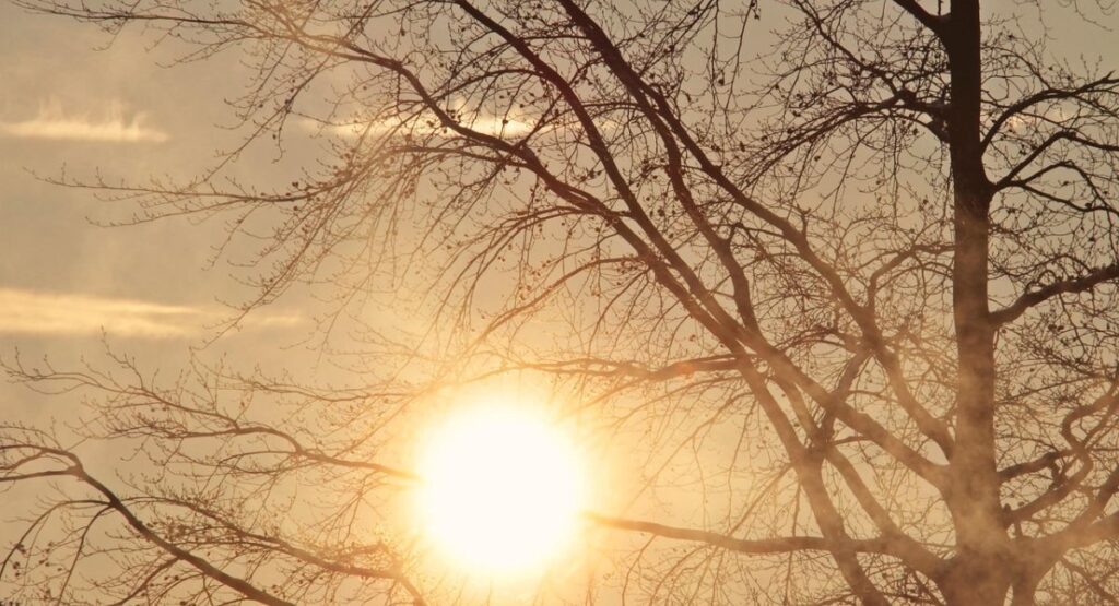 Popular Depression Quotes to Learn about Your Mood