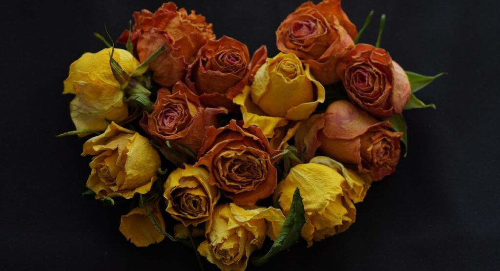 Best Condolence Messages to Say Love, Strength, and Peace