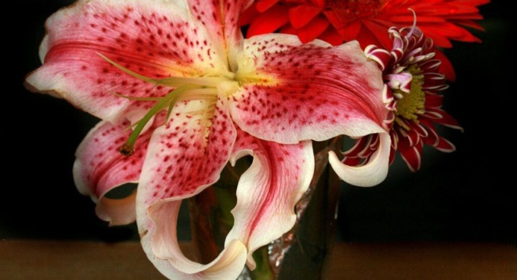 Best Sweet Love Messages to send in order to Share What you really feel