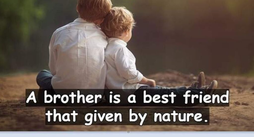 100+ Best Bhai Ke Liye Shayari in Hindi – Emotional & Heart Touching