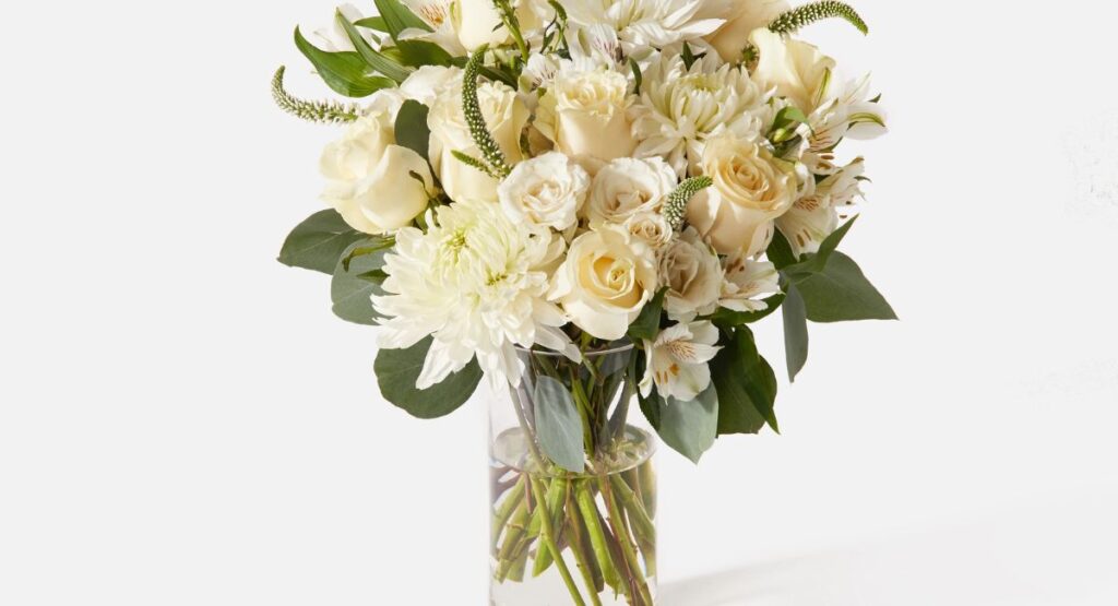 Heartfelt Short Condolence Message Ideas for Any Occasion