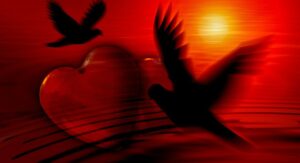 Best Shayari Love Collection: Sad, Heart Touching, Romantic Shayaris