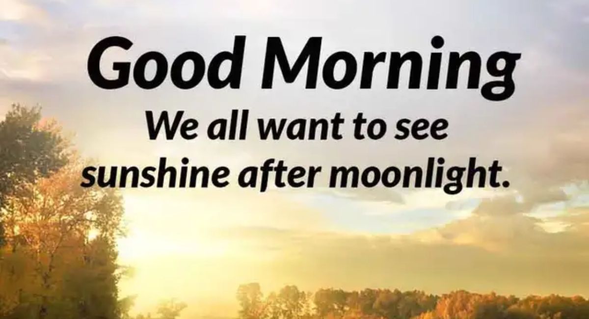 Top Deep Meaningful Good Morning Life Quotes for Motivation and Success